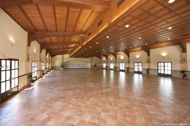 Hacienda Atalaya Alta - Quinta en Sevilla - Foto 19