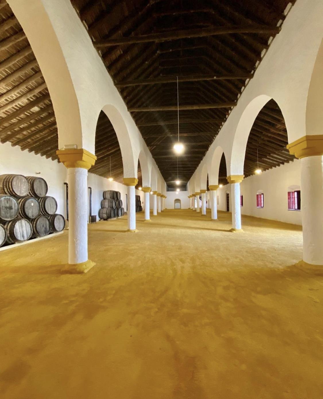 Hacienda Torrequemada - Casas rurales en Sevilla - Foto 8
