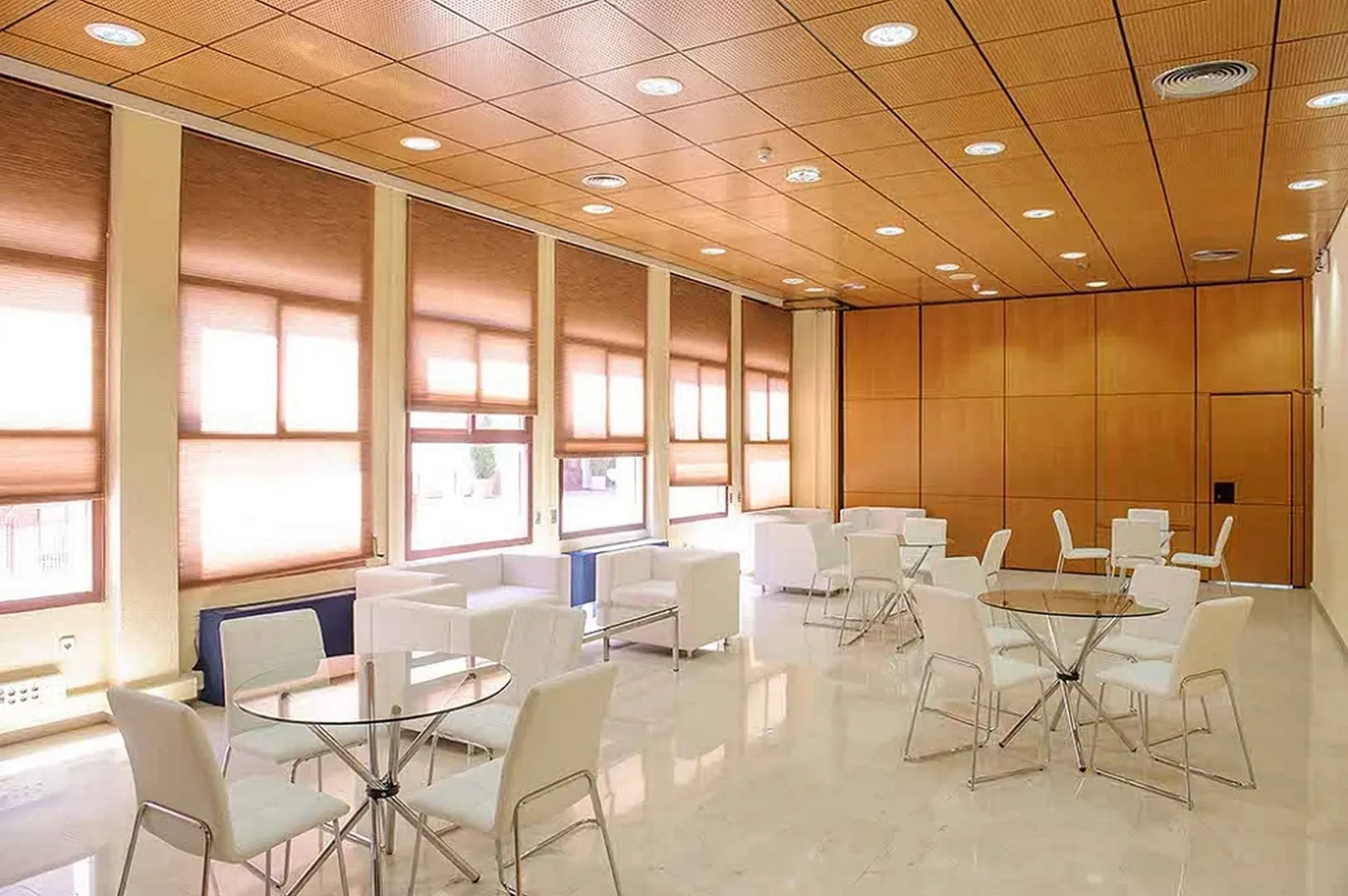 Complejo Duques de Pastrana - Sala/Salón en Madrid - Foto 13