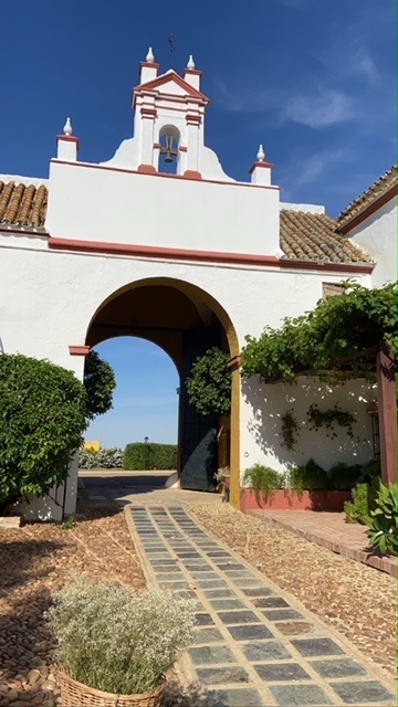 Hacienda Atalaya Alta - Quinta en Sevilla - Foto 6