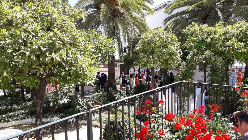 Real Venta de Antequera - Quinta en Sevilla - Foto 23