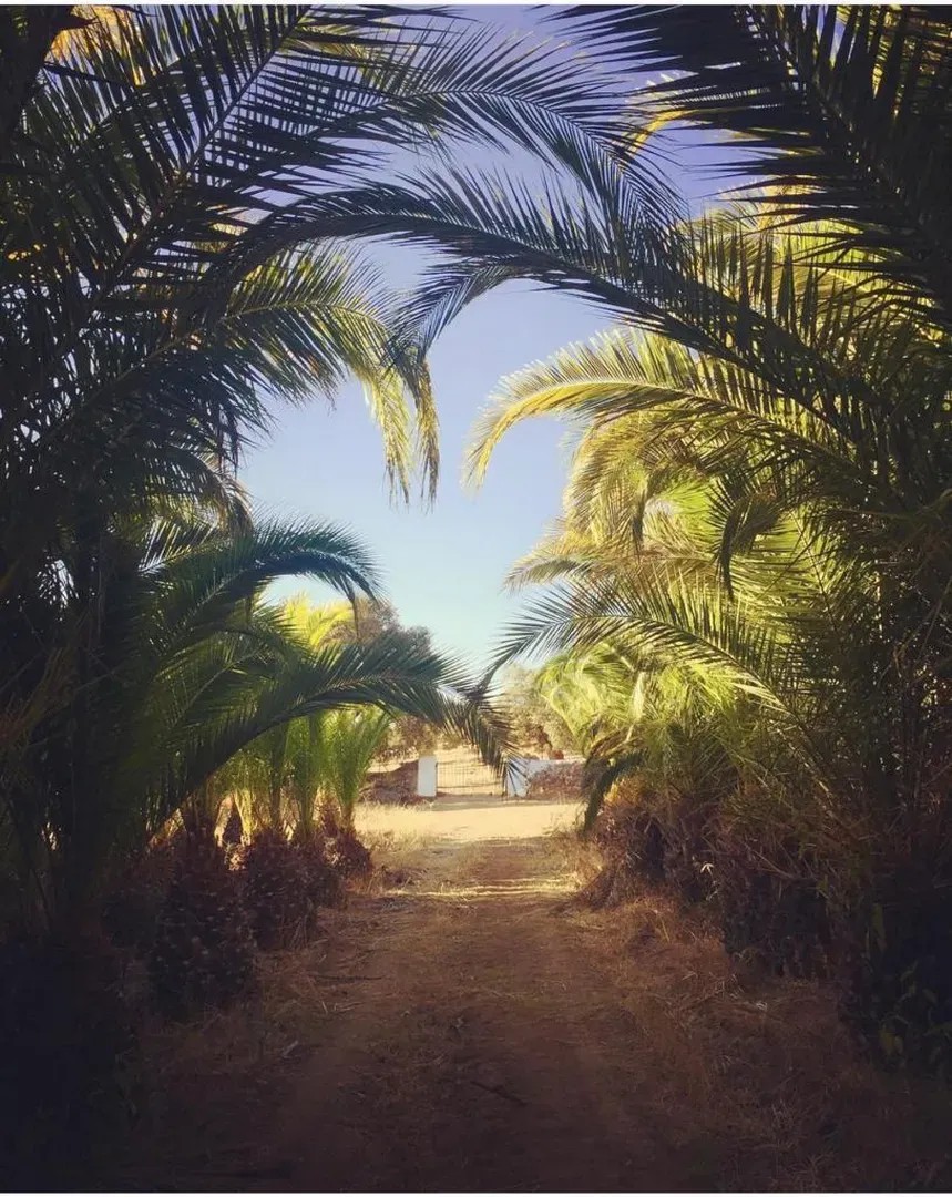Finca los Fresnos - Quinta en Badajoz - Foto 20