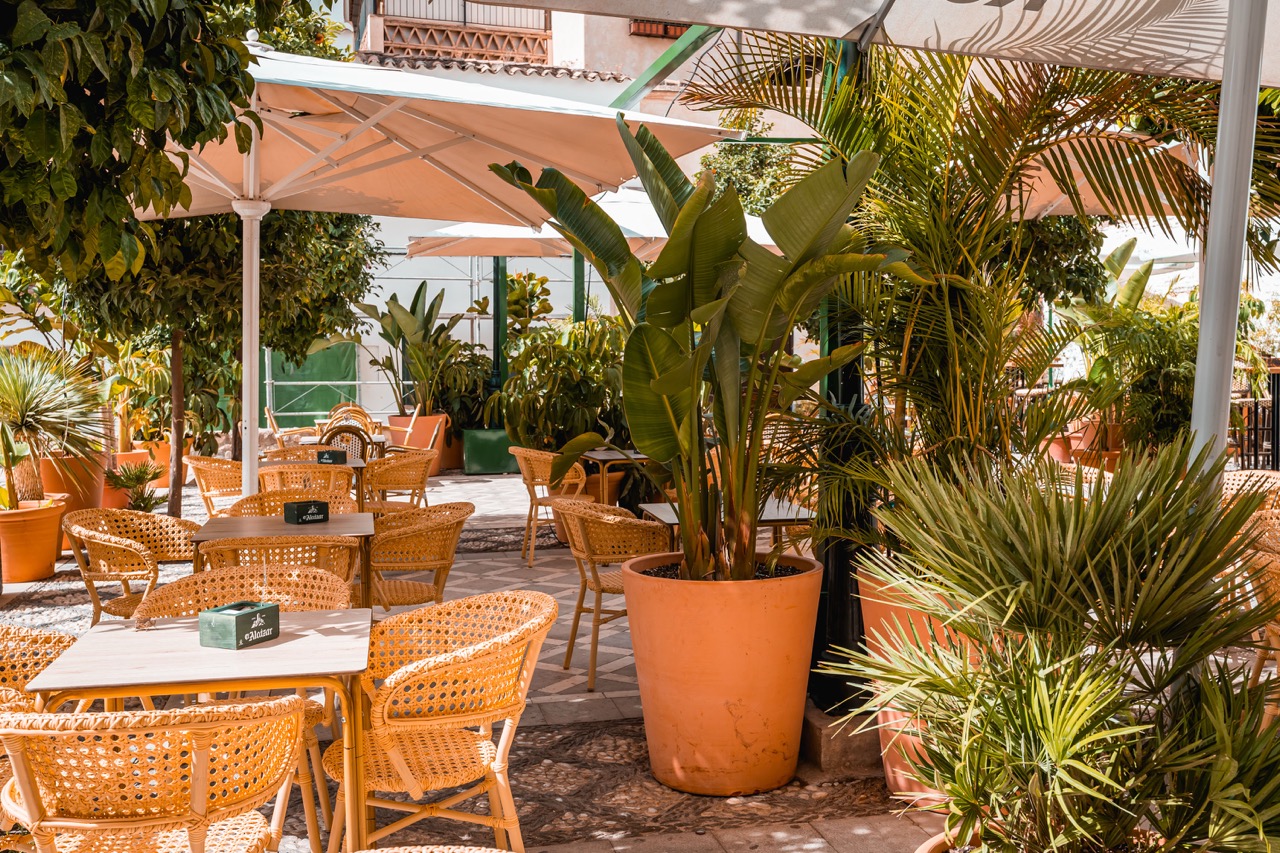 Mamá Samba - Grupo Paripé - Restaurantes en Granada - Foto 10