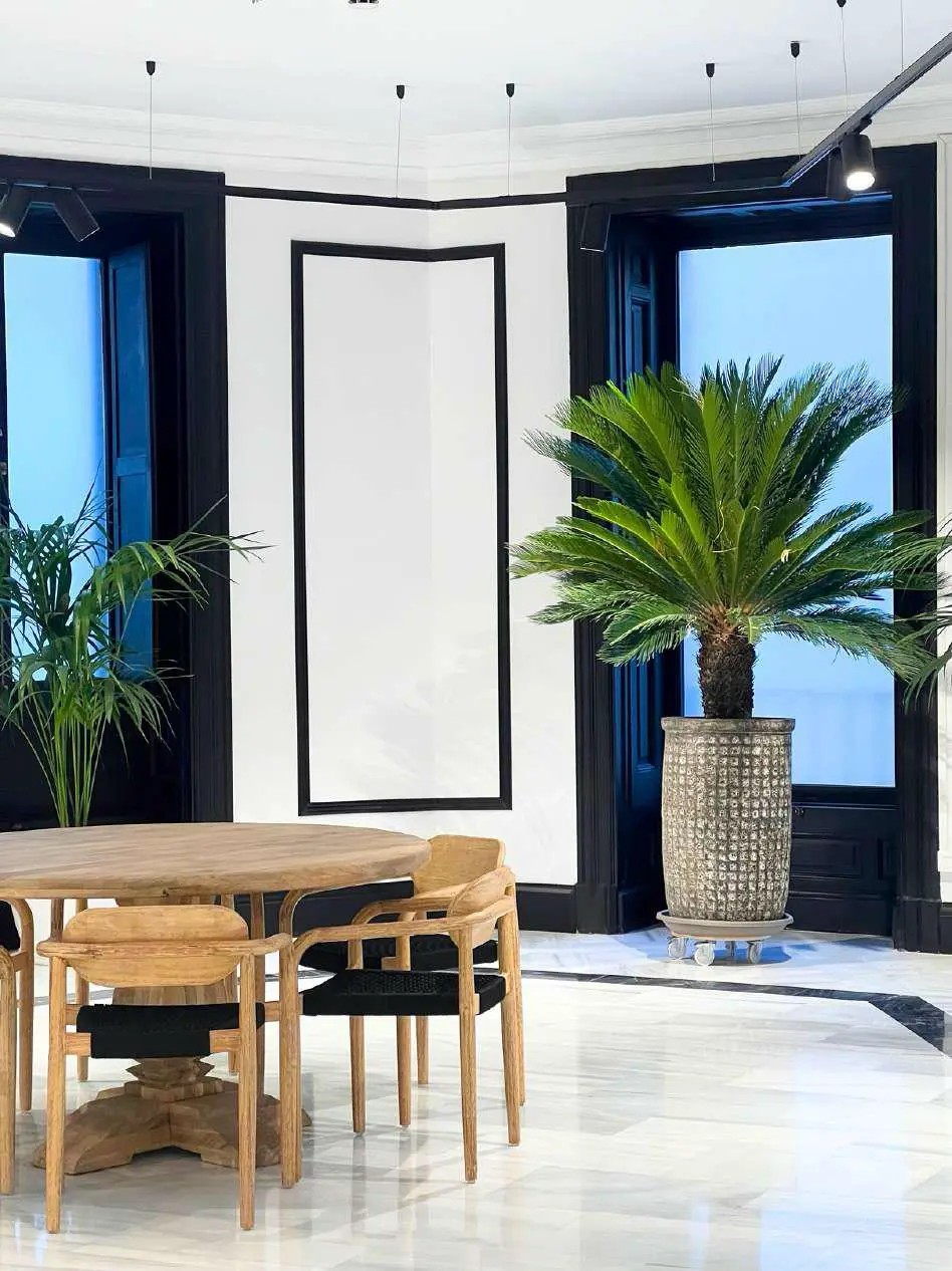 Covarrubias The One - Coworking en Madrid - Foto 6