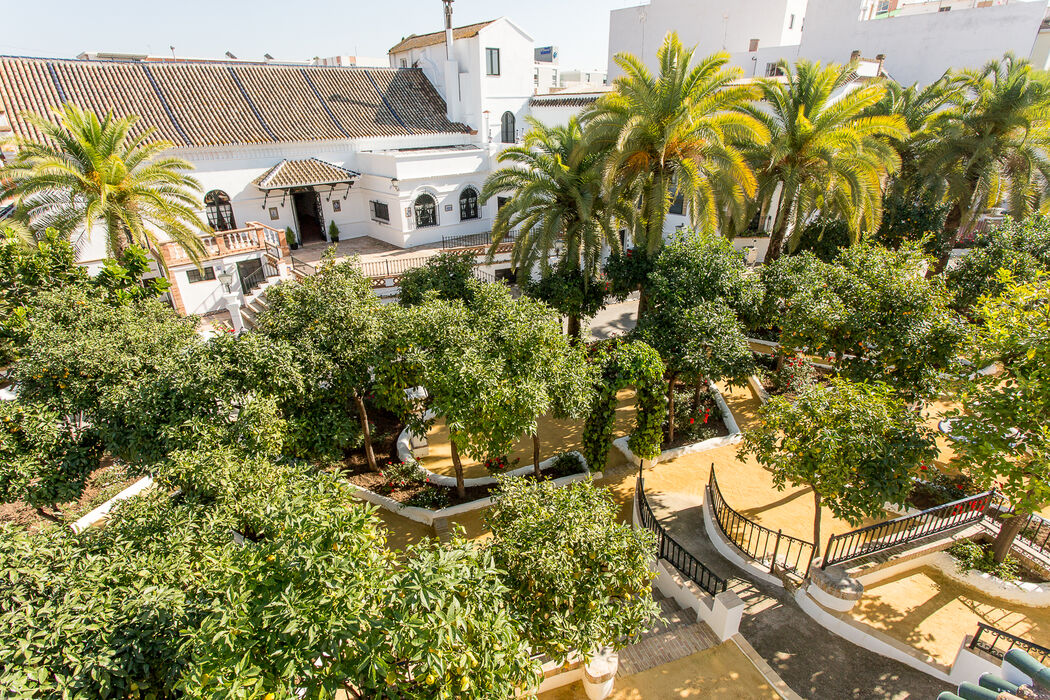 Real Venta de Antequera - Quinta en Sevilla - Foto 26