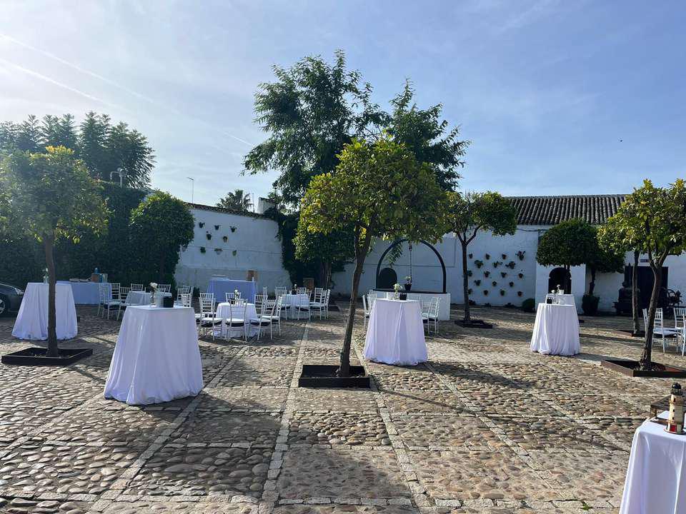 Hacienda el Cortijuelo - Quinta en Sevilla - Foto 14