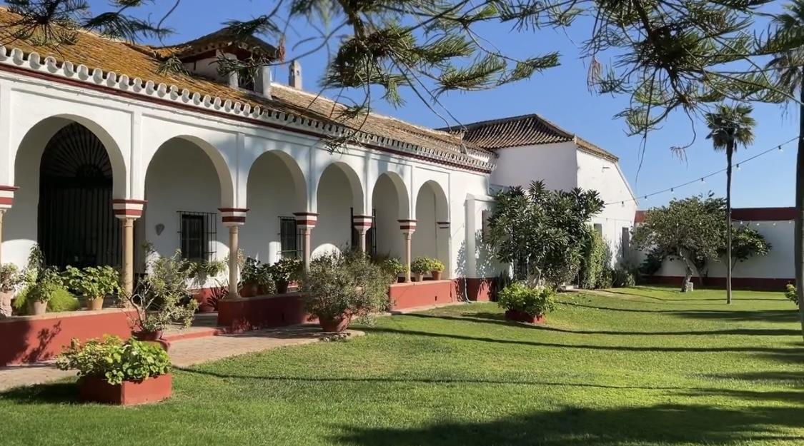 Hacienda Torrequemada - Casas rurales en Sevilla - Foto 6