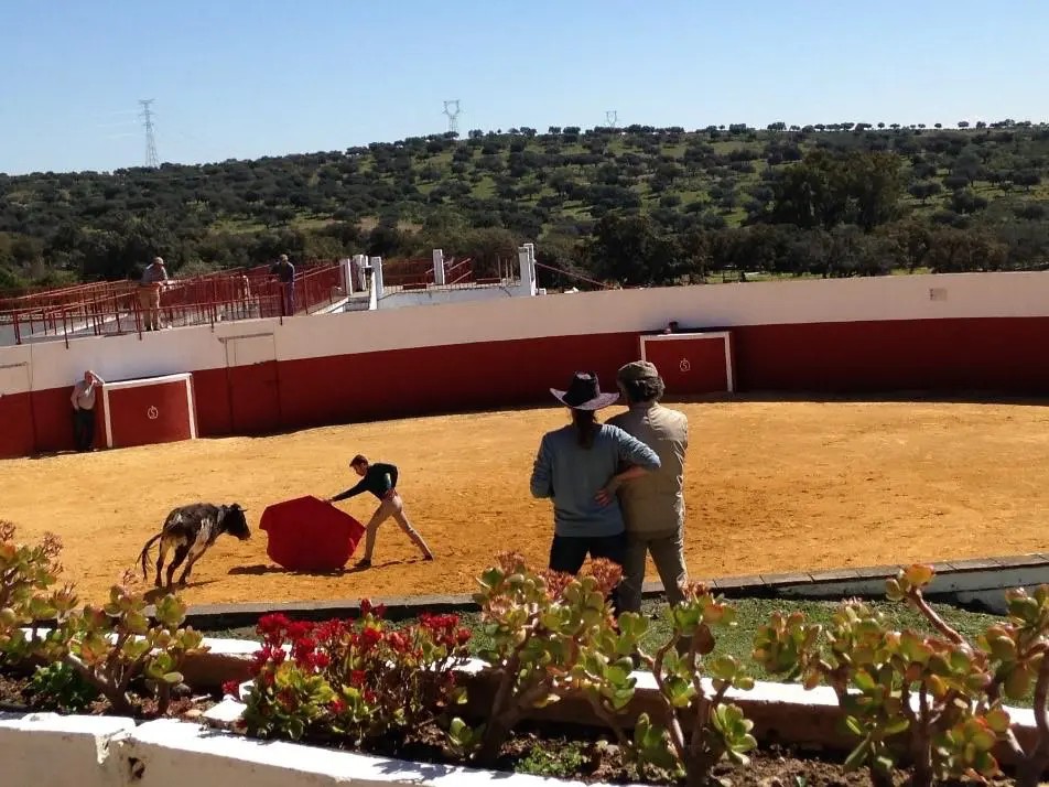 La Capitana Experience - Quinta en Sevilla - Foto 13