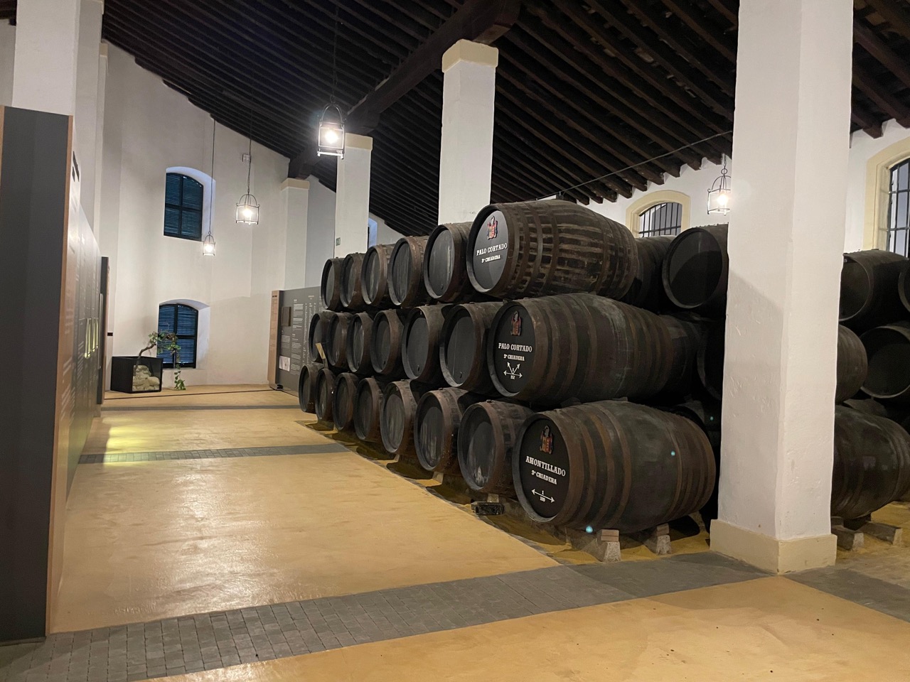 Cayetano del Pino - Sala/Salón en Cádiz - Foto 10