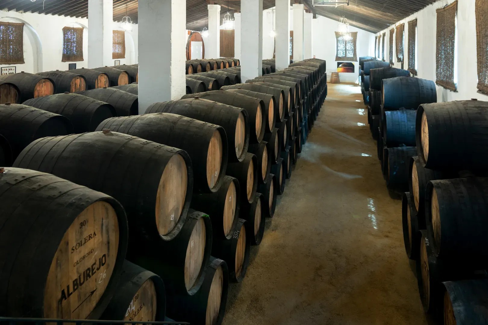 Bodegas Alvaro Domecq - Quinta en Cádiz - Foto 11