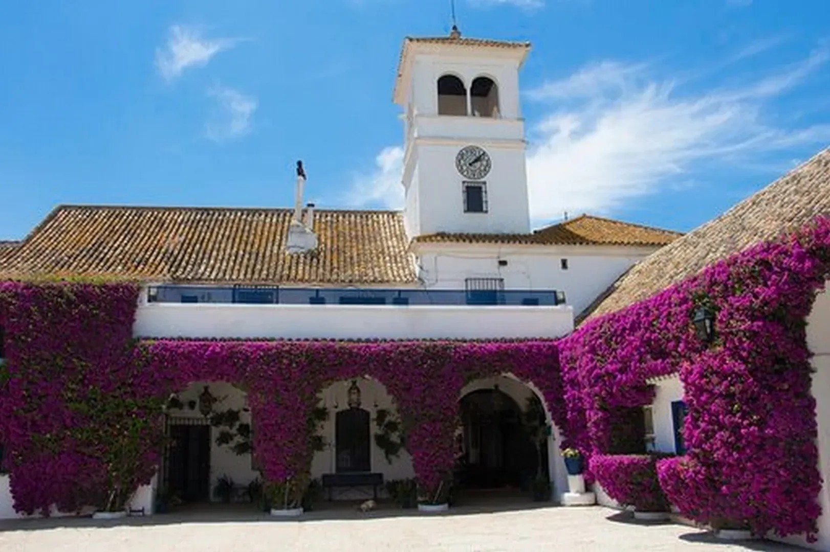 Hacienda San Juan del Hornillo - Quinta en Sevilla - Foto 6