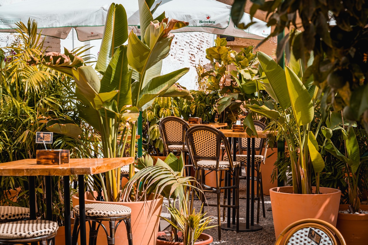 Mamá samba - grupo paripé 3