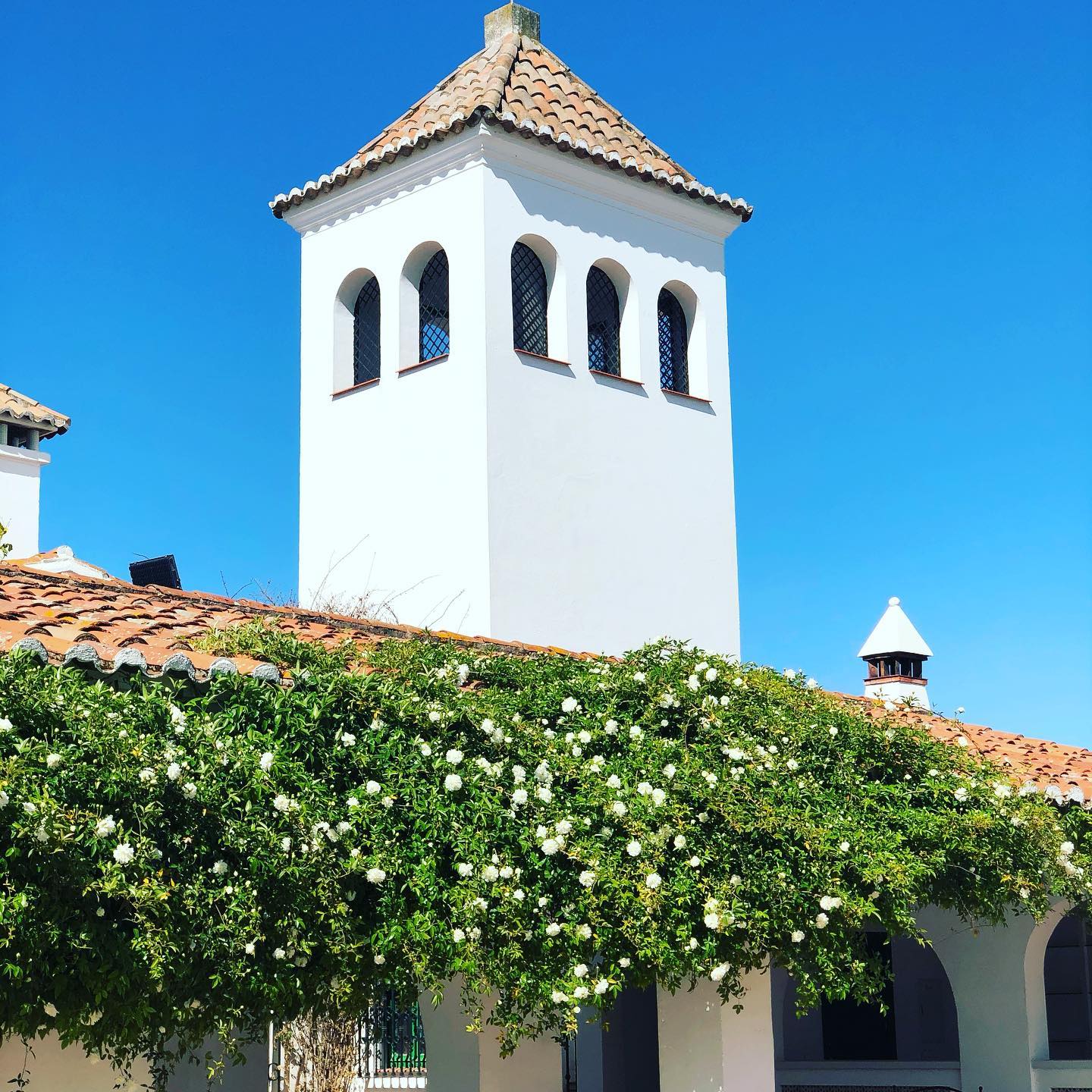 Toribio - Quinta en Badajoz - Foto 19