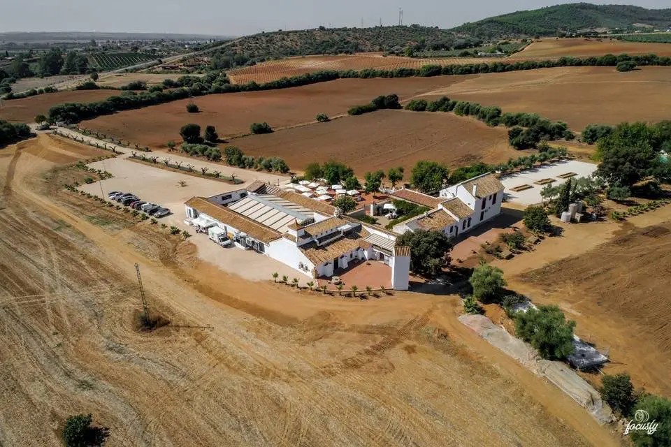 Finca el Cercado - Quinta en Córdoba - Foto 7