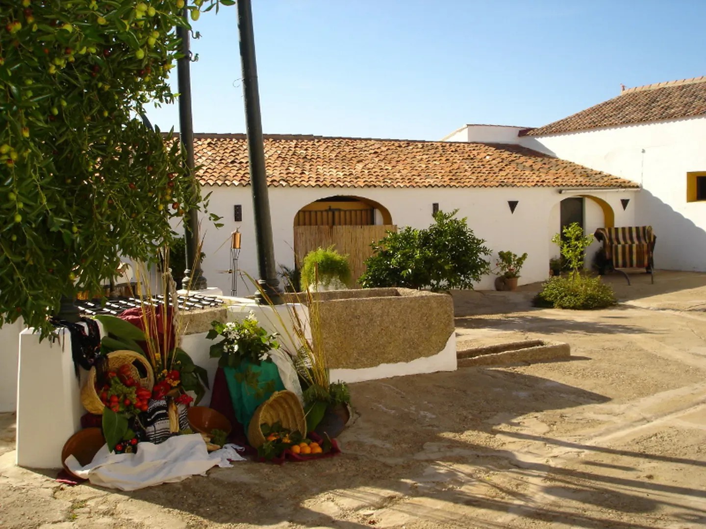 Hacienda la Vara - Quinta en Badajoz - Foto 8