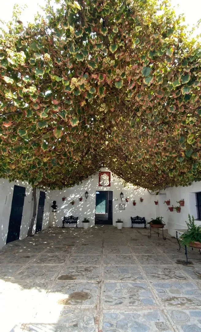 Cortijo Espanta Rodrigo - Quinta en Cádiz - Foto 12