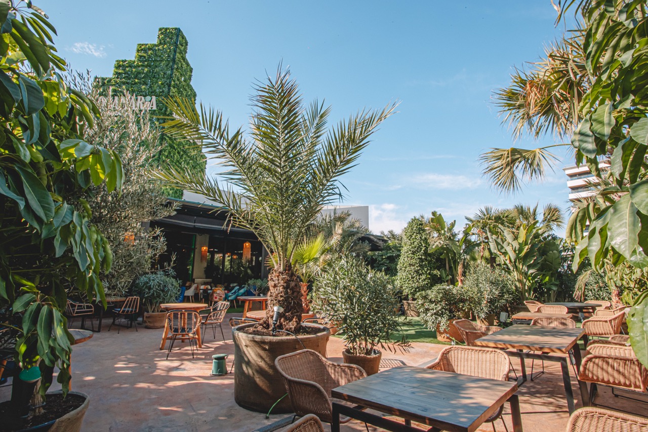 La Loca Maria - Grupo Paripé - Restaurantes en Granada - Foto 10
