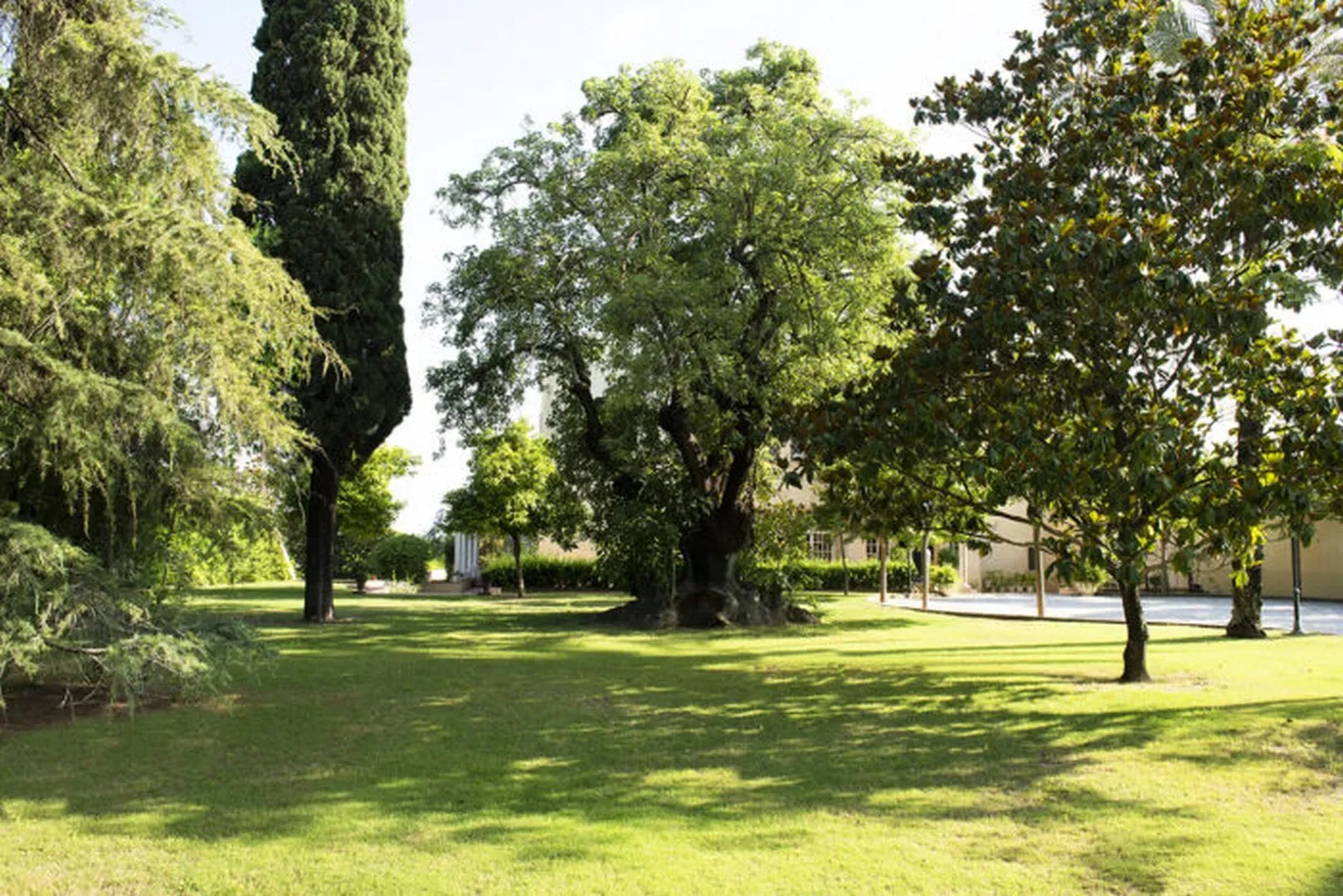 Bella Sombra House - Quinta en Sevilla - Foto 20
