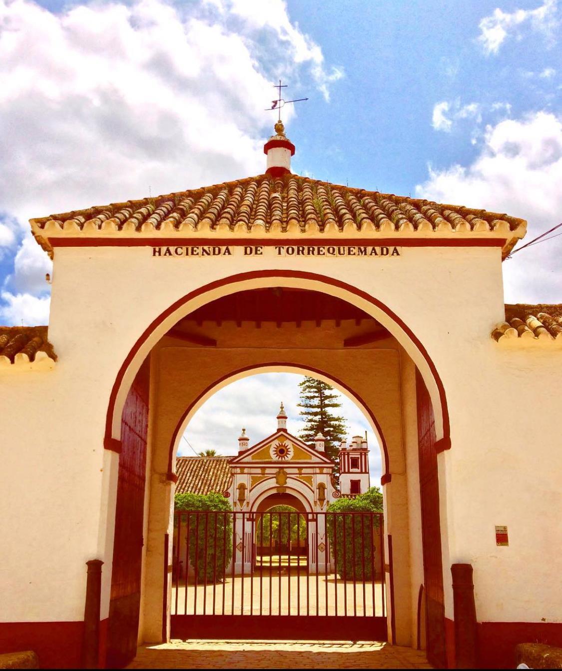 Hacienda Torrequemada - Casas rurales en Sevilla - Foto 13