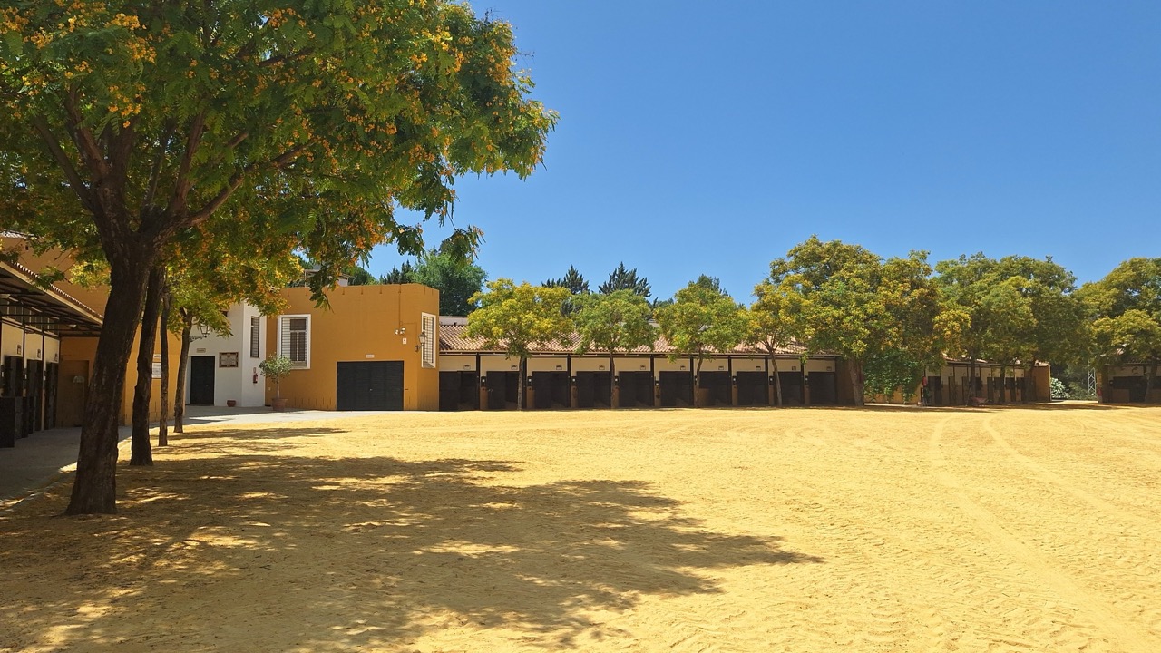 Yeguada Cartuja - Quinta en Cádiz - Foto 40