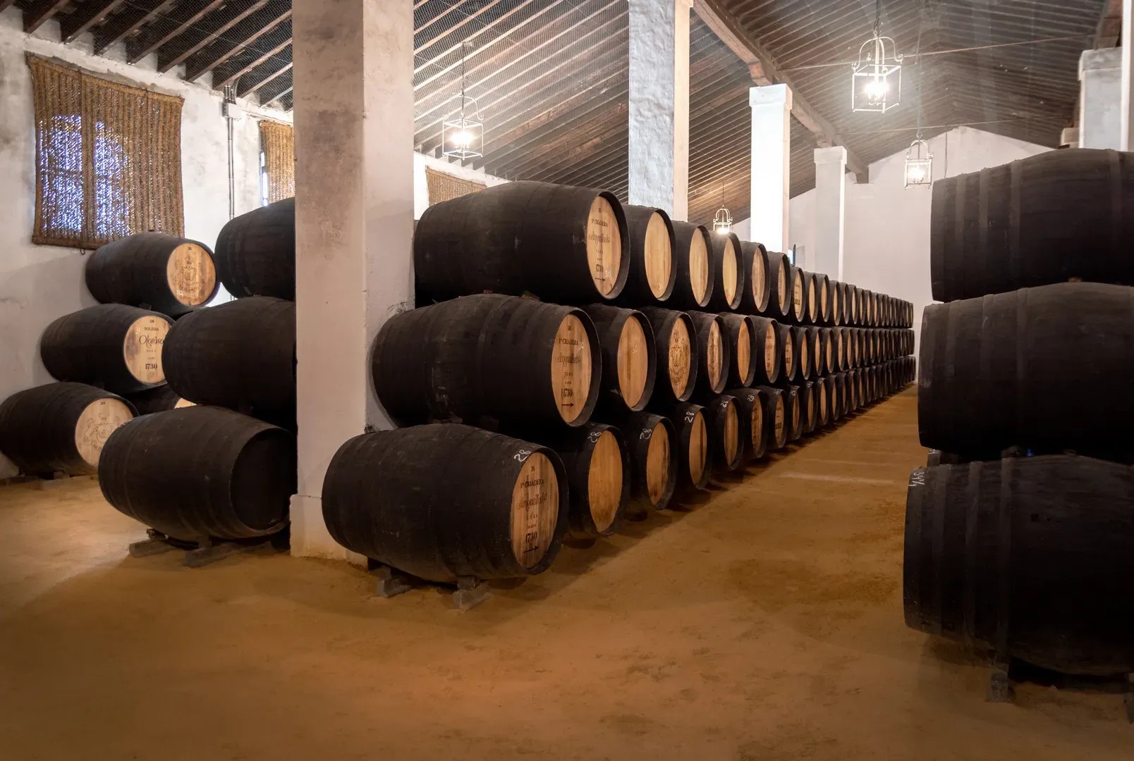 Bodegas Alvaro Domecq - Quinta en Cádiz - Foto 9
