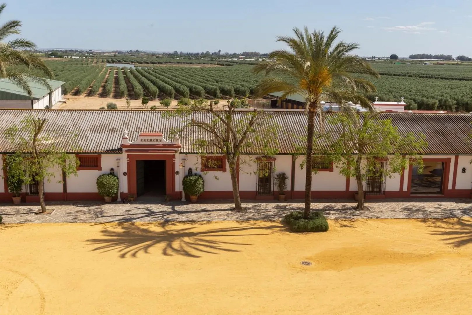Hacienda de Orán - Quinta en Sevilla - Foto 30