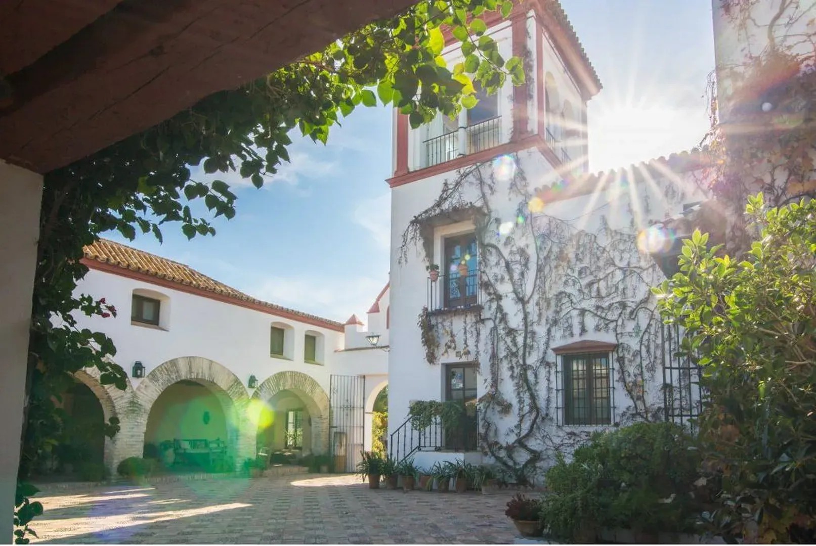 Hacienda de Orán - Quinta en Sevilla - Foto 16