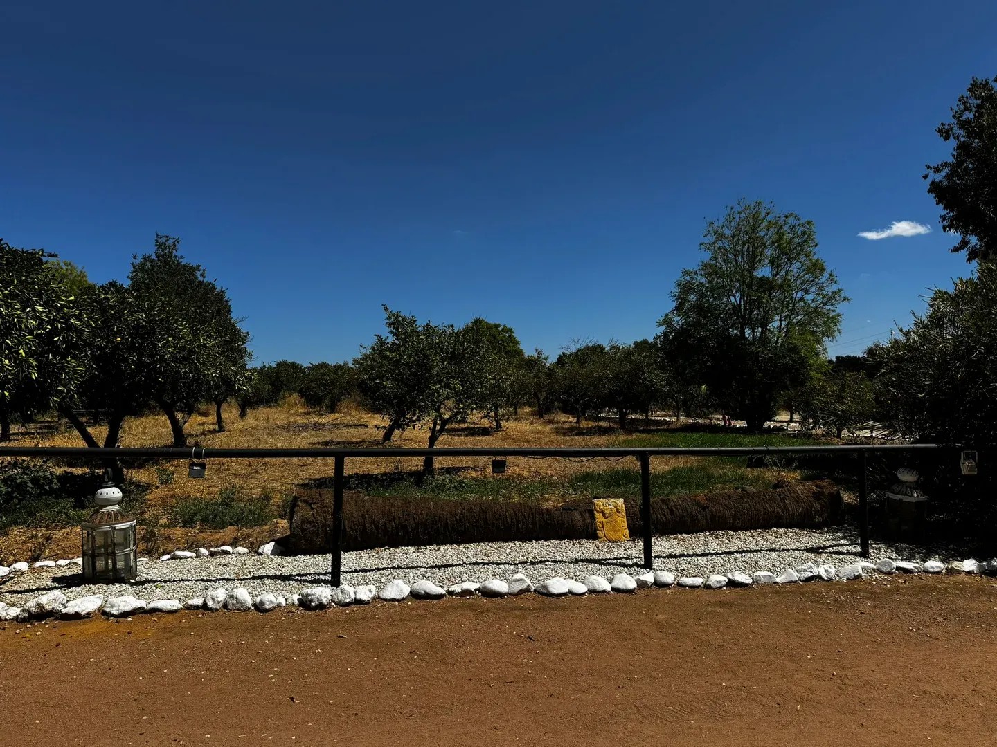 Cortijo de Artaza - Quinta en Córdoba - Foto 13