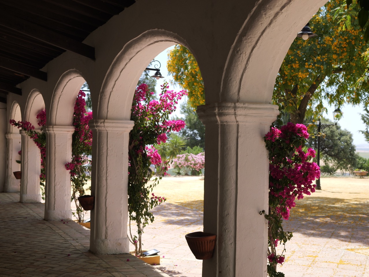 Finca Cerro de Obregon - Quinta en Cádiz - Foto 13
