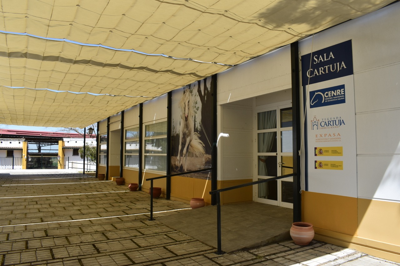 Yeguada Cartuja - Quinta en Cádiz - Foto 11