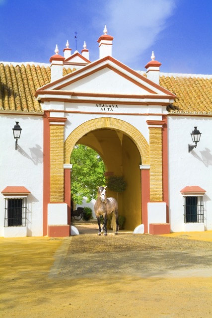 Hacienda Atalaya Alta - Quinta en Sevilla - Foto 23