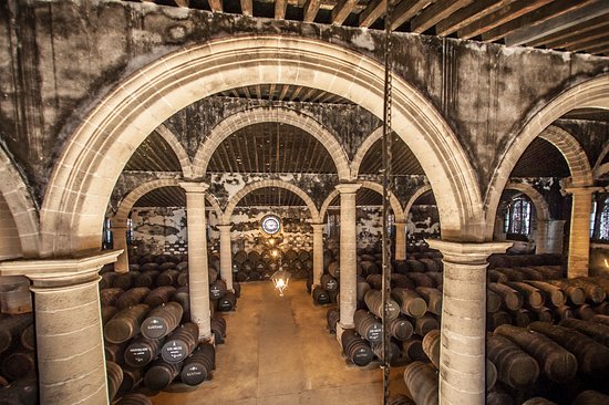 Bodegas Lustau - Sala/Salón en Cádiz - Foto 9