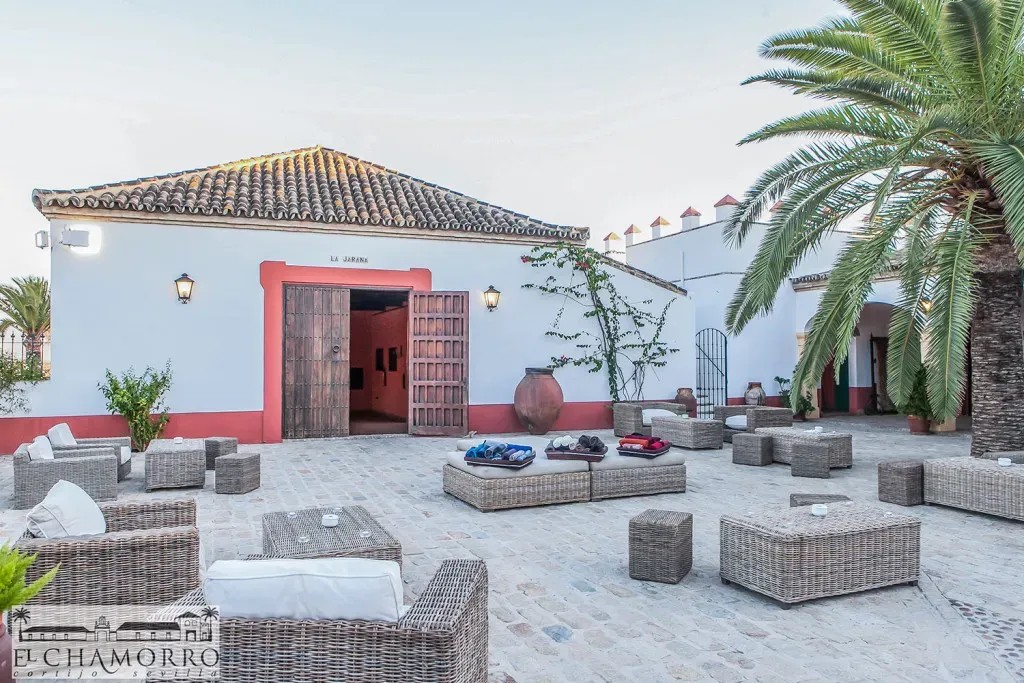 Cortijo el Chamorro - Quinta en Sevilla - Foto 11