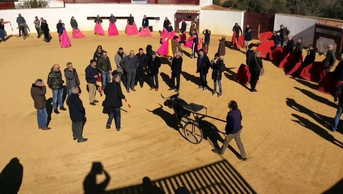 La Capitana Experience - Quinta en Sevilla - Foto 14