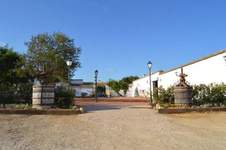 Finca el Cercado - Quinta en Córdoba - Foto 9