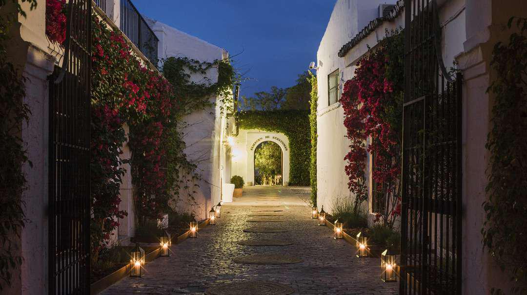 Hacienda el Cortijuelo - Quinta en Sevilla - Foto 18