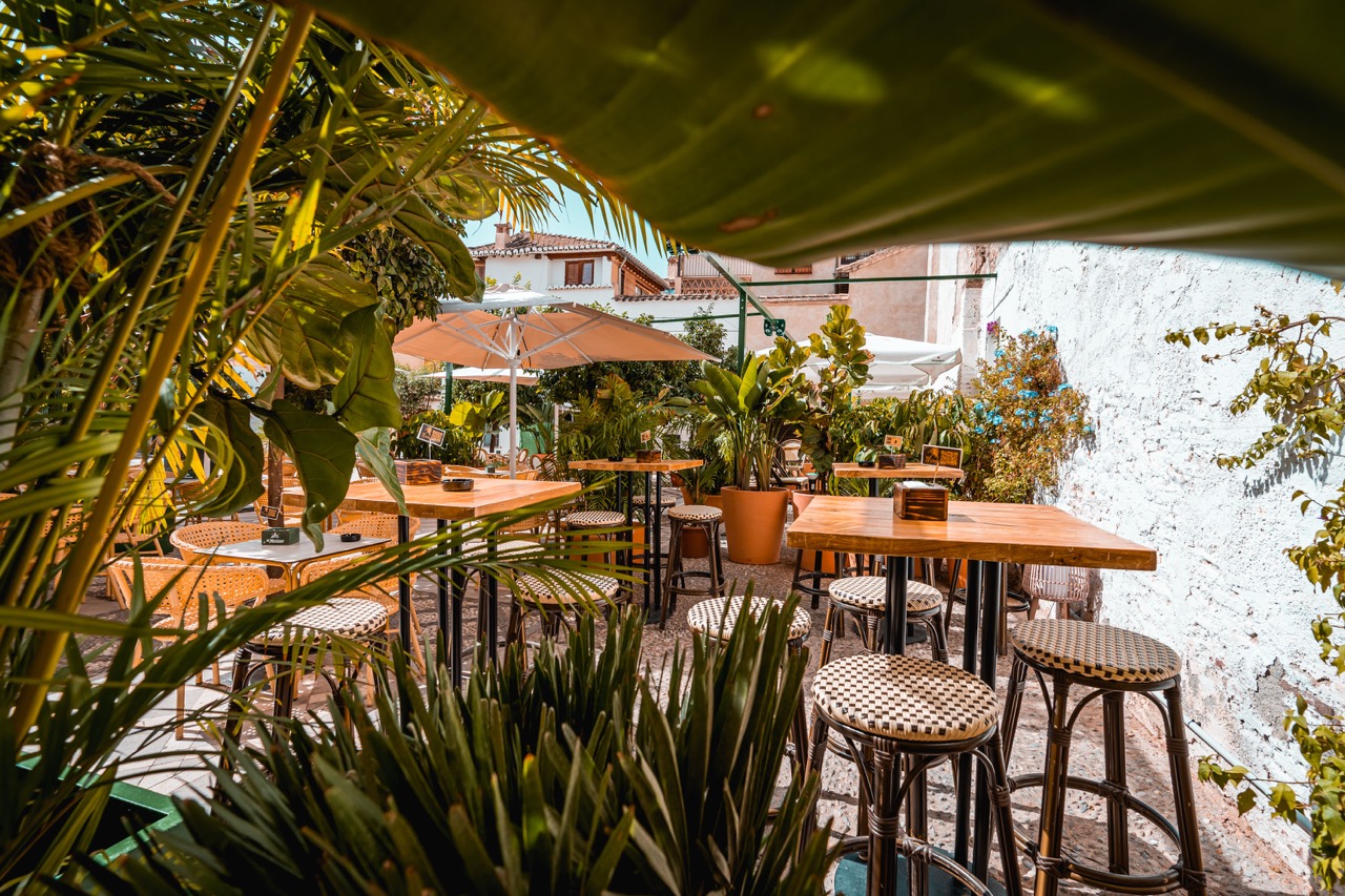 Mamá samba - grupo paripé 5