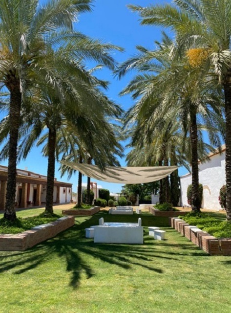 Hacienda Atalaya Alta - Quinta en Sevilla - Foto 15