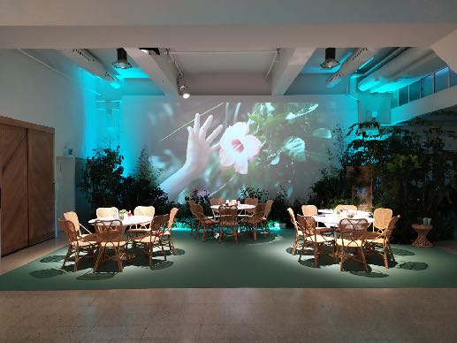 Mr Fox Estudio - Coworking en Madrid - Foto 16