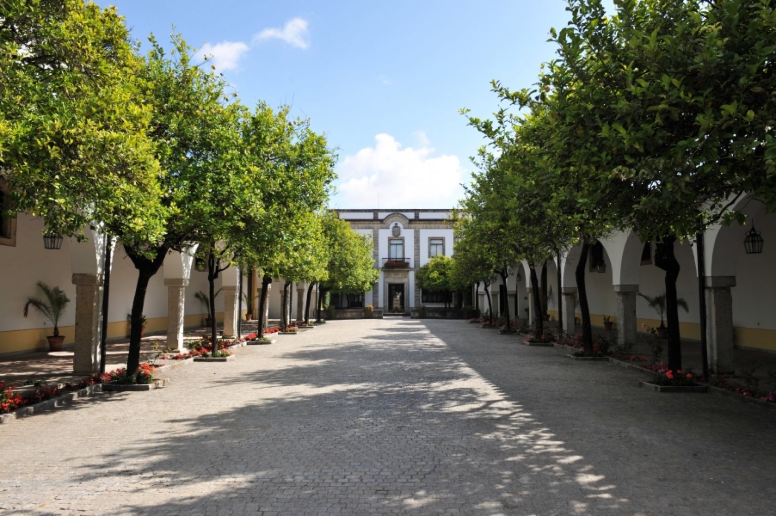 Bodega Fundador - Casas rurales en Cádiz - Foto 13