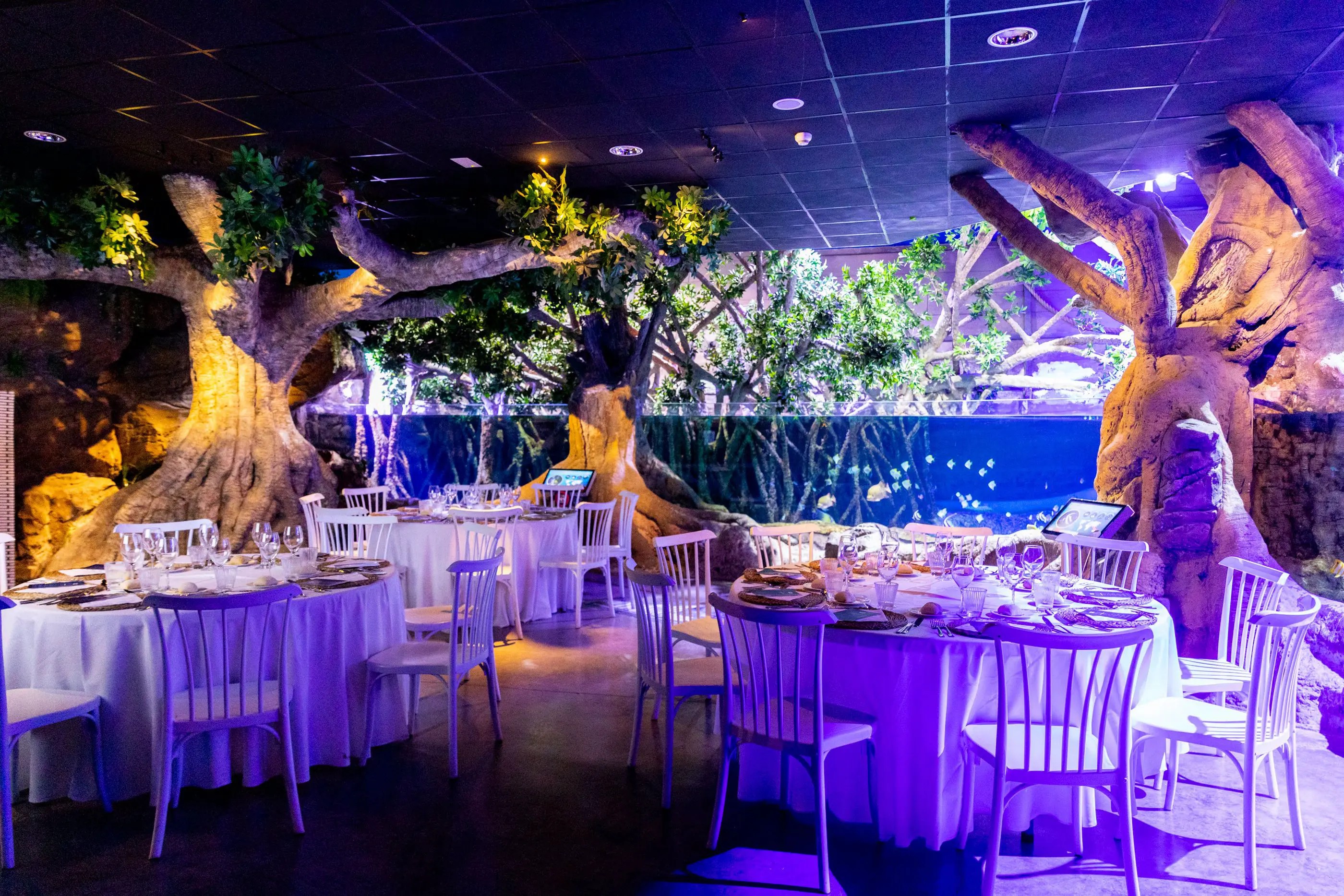 Global Omnium Auditorio (acuario Sevilla) - Sala/Salón en Sevilla - Foto 27
