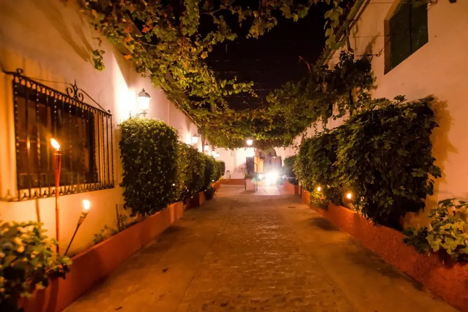 Bodegas Velez - Casas rurales en Cádiz - Foto 13