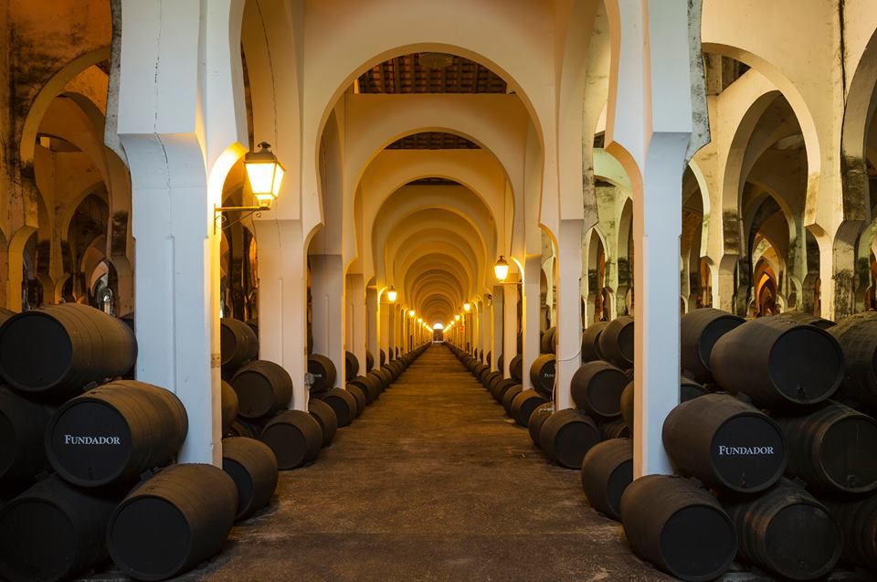 Bodega Fundador - Casas rurales en Cádiz - Foto 7