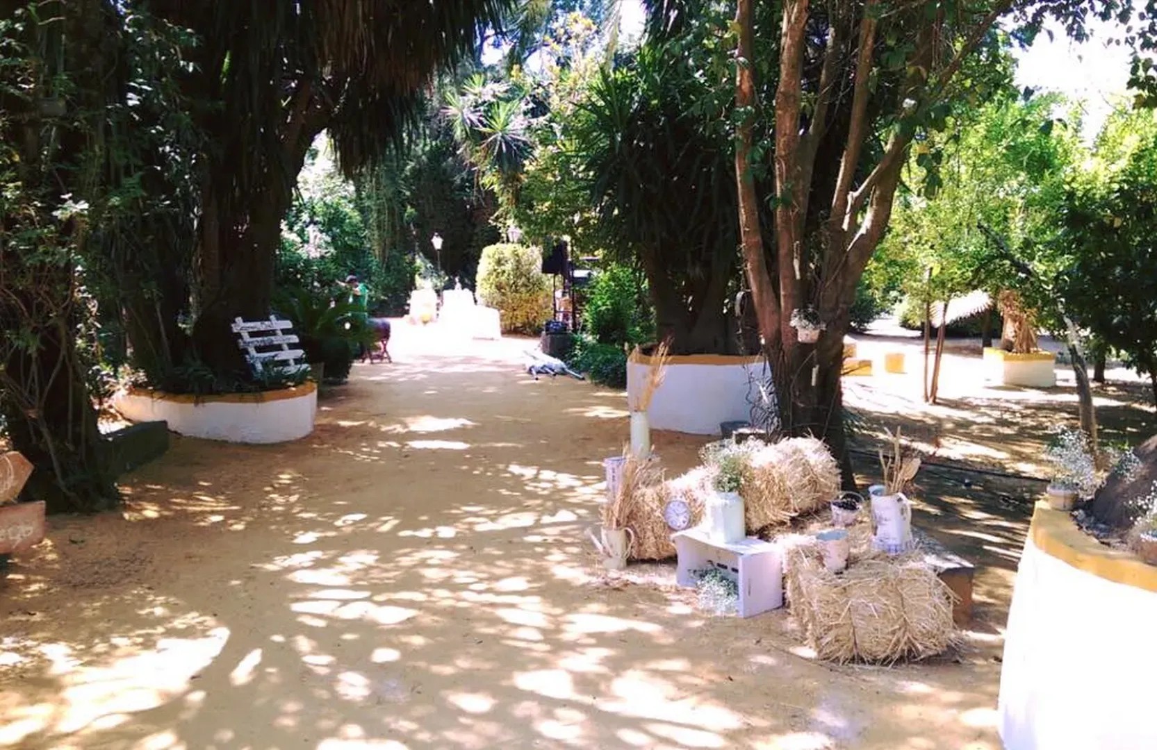 Cortijo Santa Rosa - Casas rurales en Córdoba - Foto 20