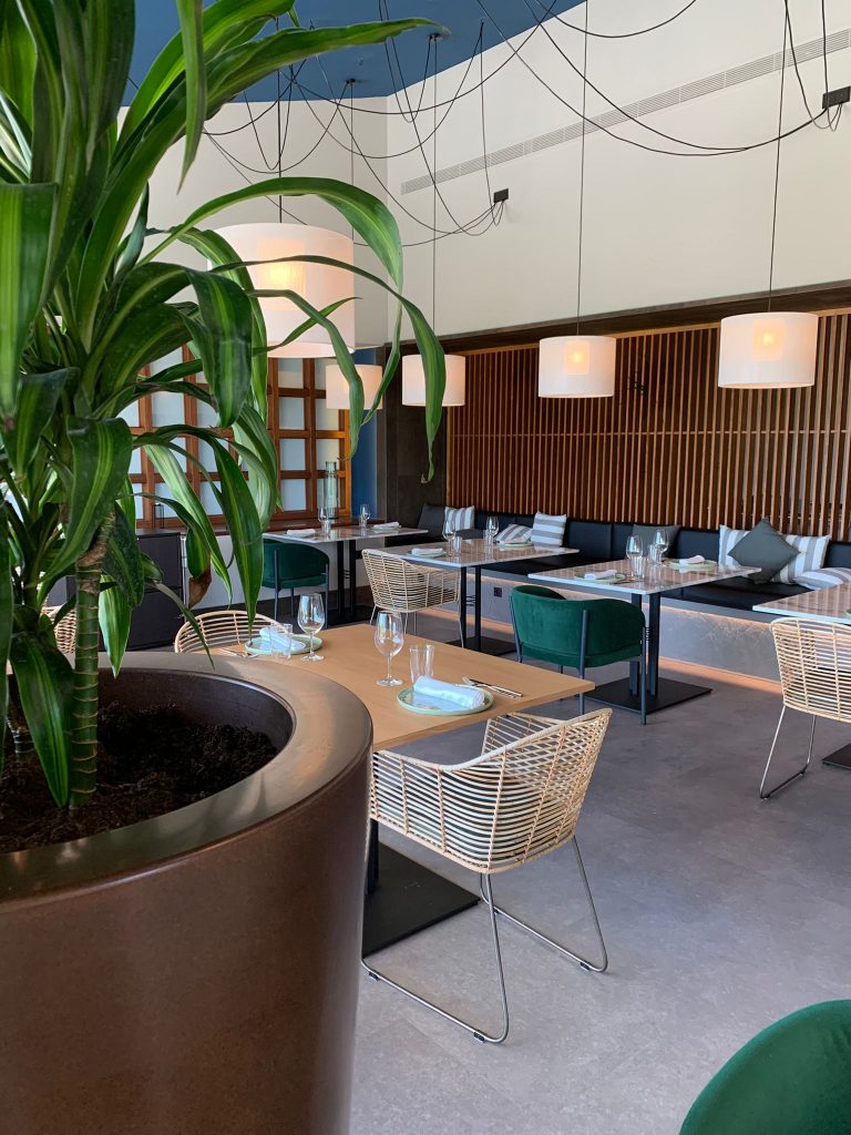 Sal Verde - Sala/Salón en Cádiz - Foto 6