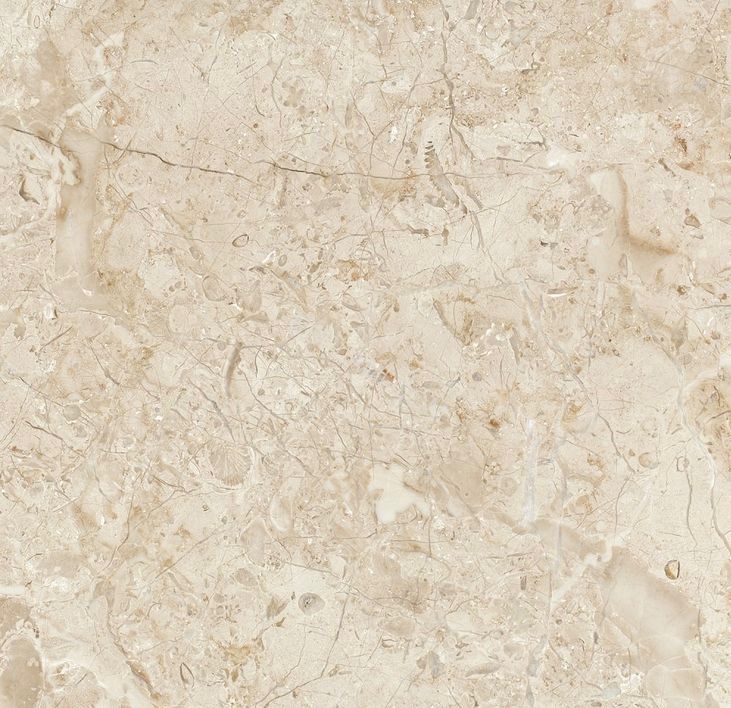 Sugar Beige