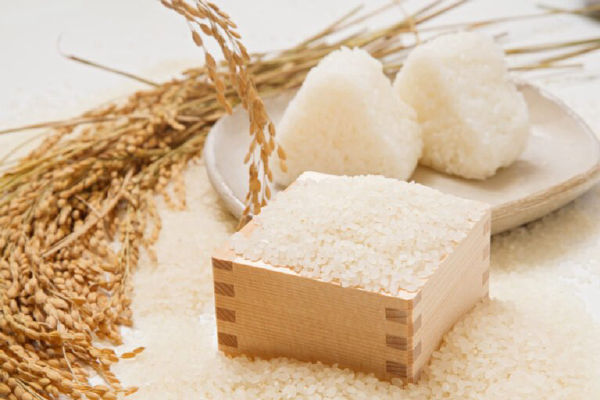 JAPANESE RICE A GRADE 日本米 Aグレード