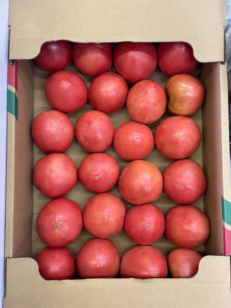Fresh Tomatoes