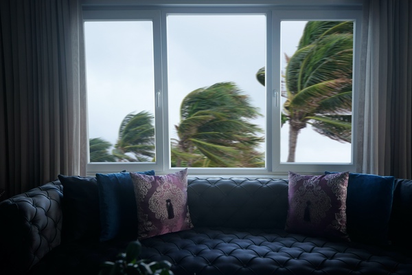 hurricane-proof windows