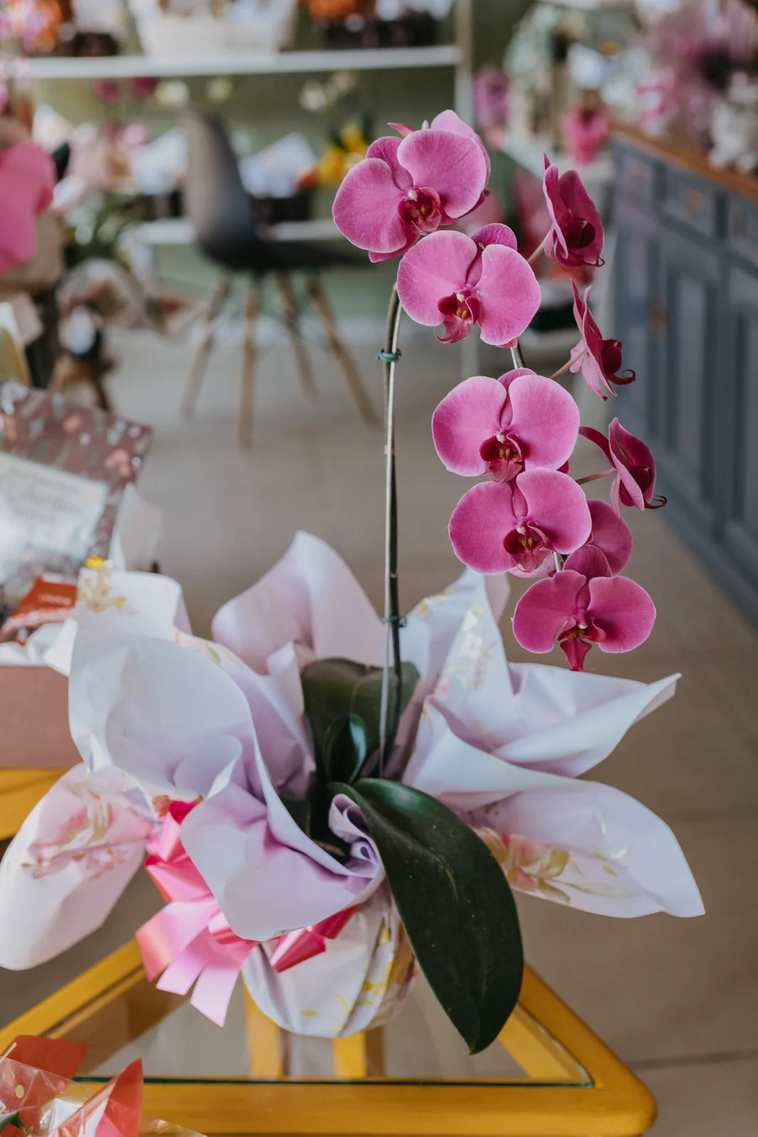 Orquídea Grande